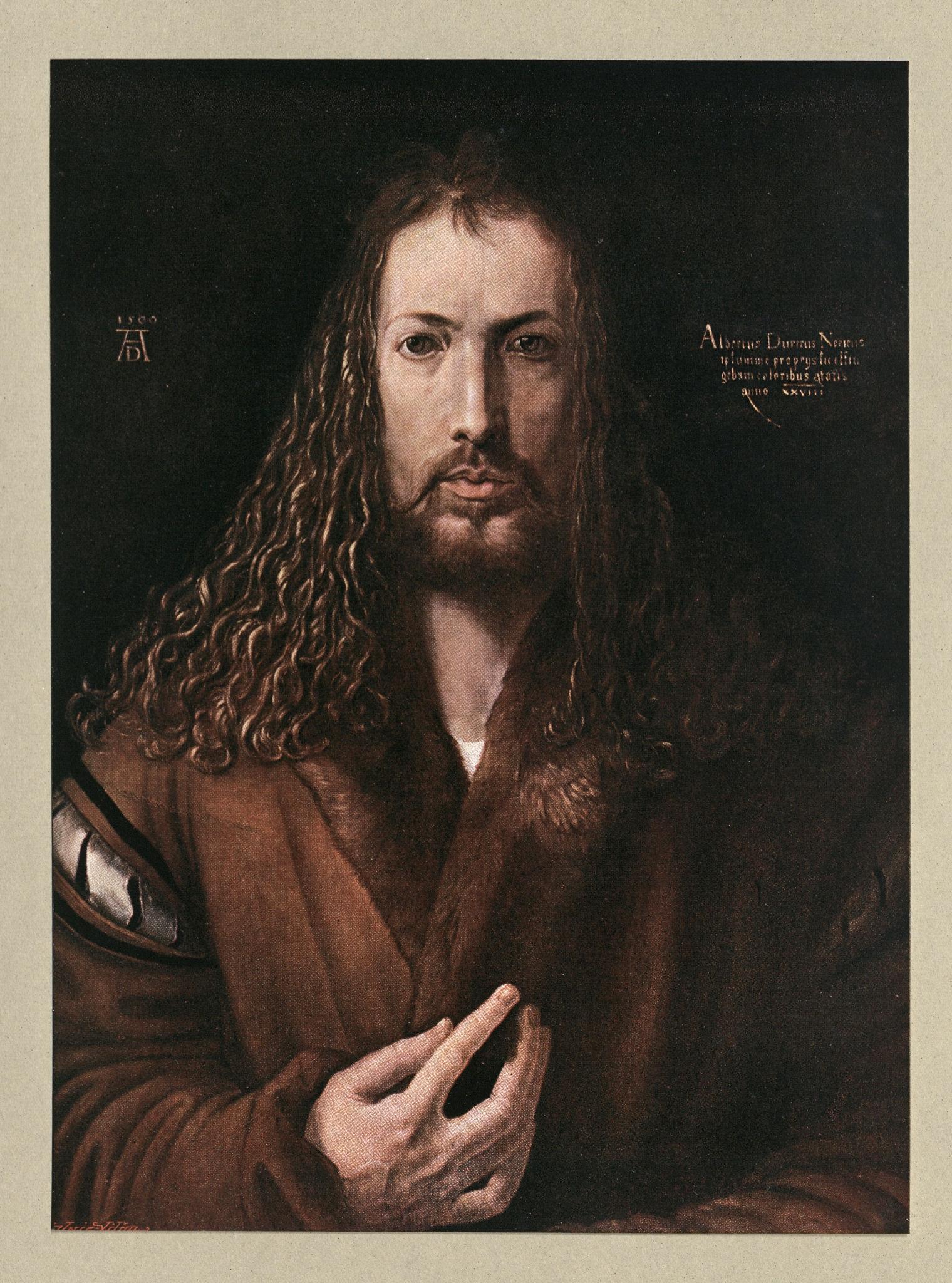 Albrecht Durer style image